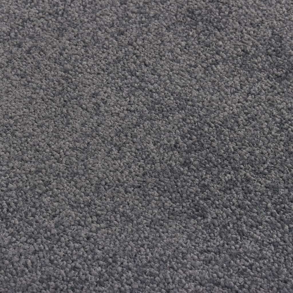 Zerbino antracite 40 x 60 cm con superficie in velluto e retro antiscivolo, robusto design in polipropilene per ingresso, corridoio e terrazza coperta