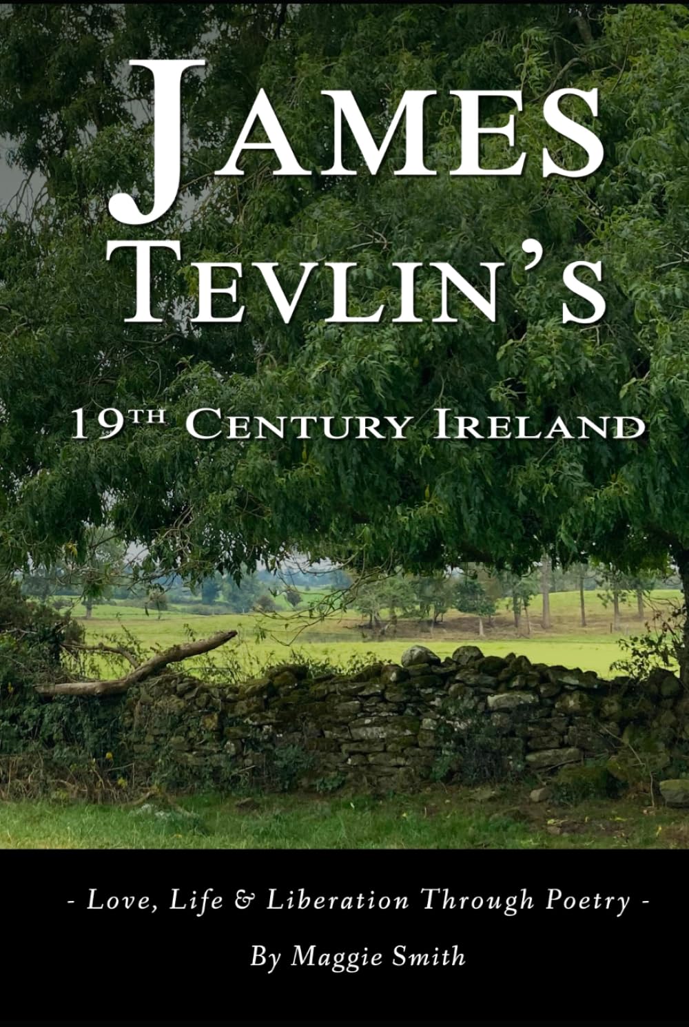 James Tevlin's 19th Century Ireland: – Love, Life & Liberation Through Poetry –