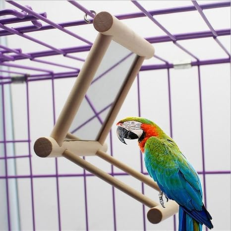 macaw swing