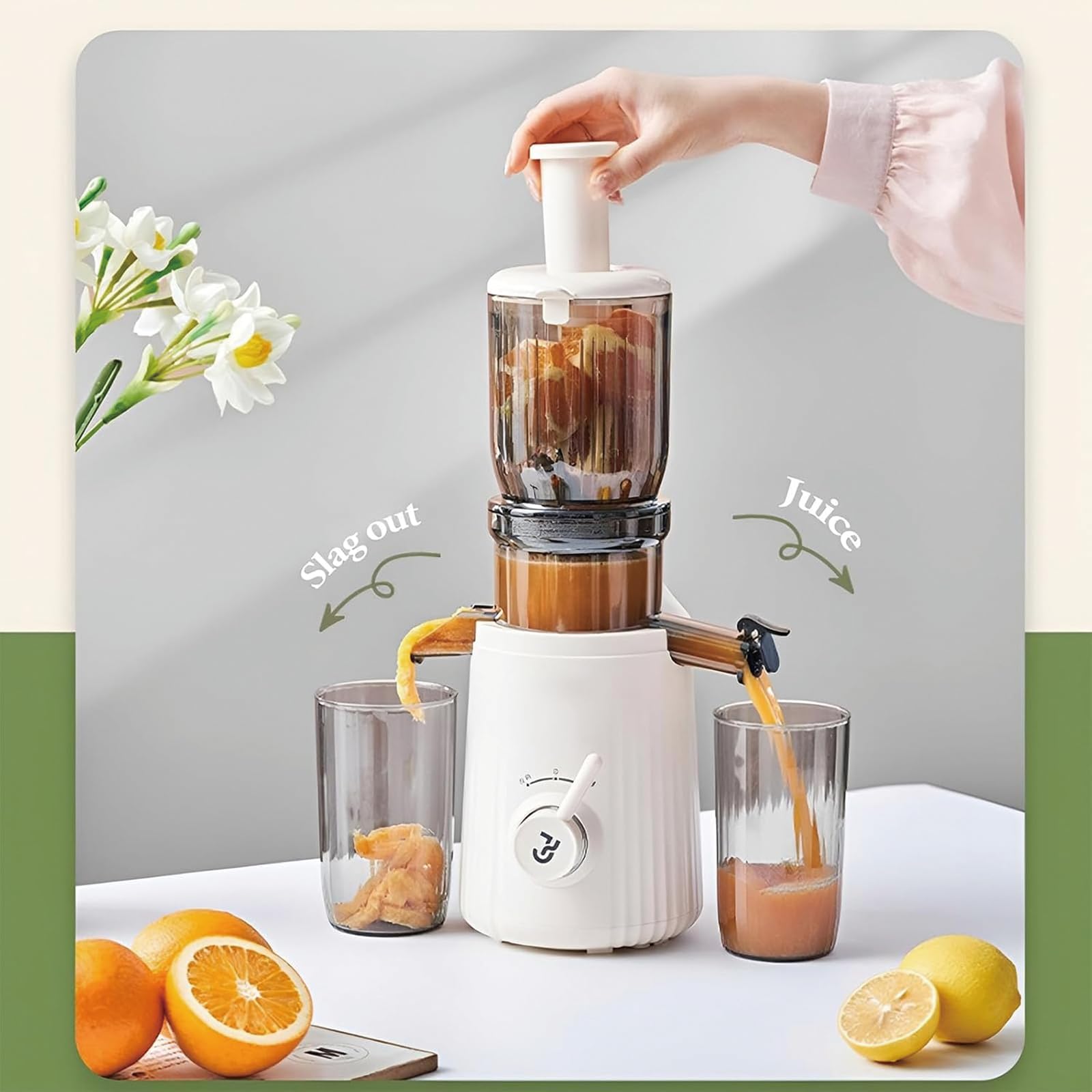 Centrifugeuse 250 W, Jus Pur À 98%, avec Séparation du Jus, Grand Diamètre 104 Mm, Récipient De 1 Litre, Interrupteur À Une Touche, pour Agrumes, Oranges Et Fruits