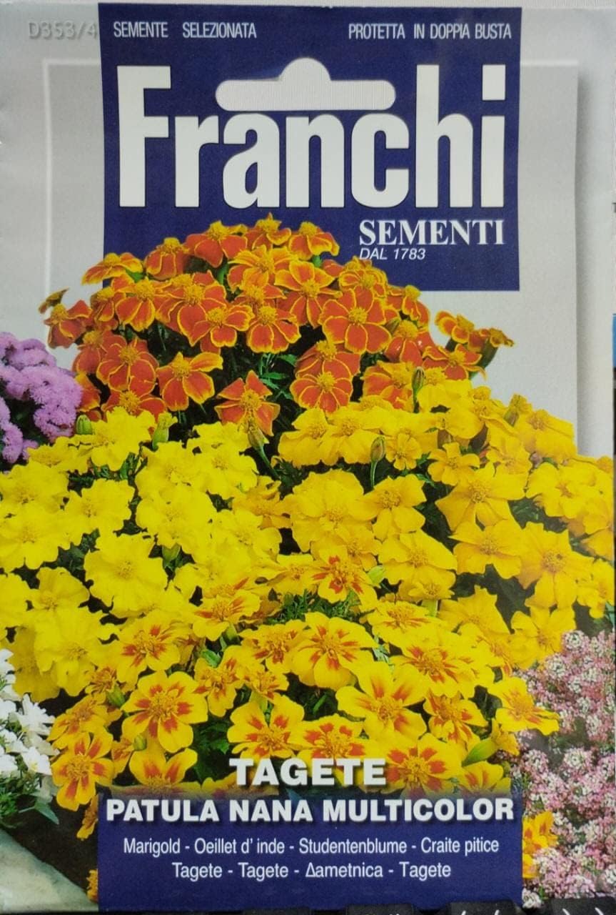 Premium Quality Multicolor Marigold Seeds