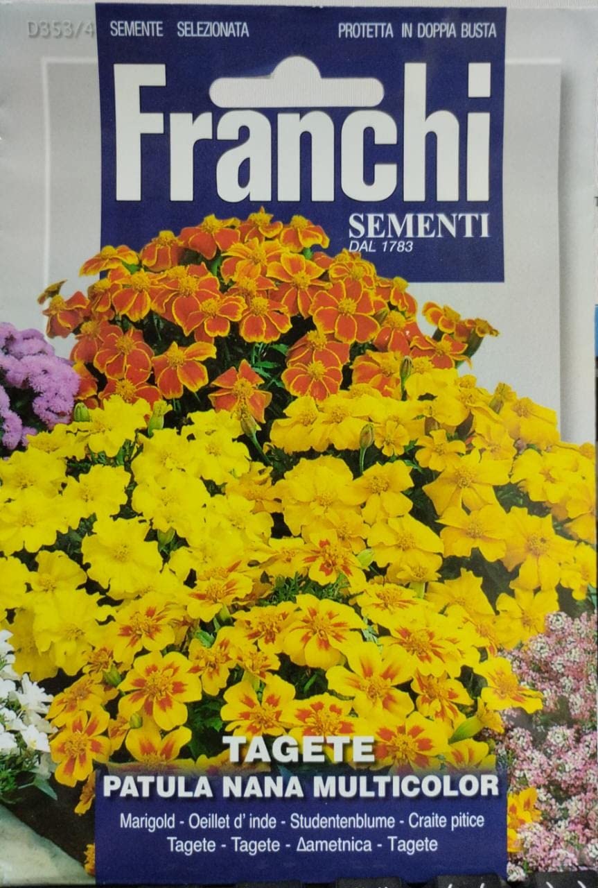 Premium Quality Multicolor Marigold Seeds