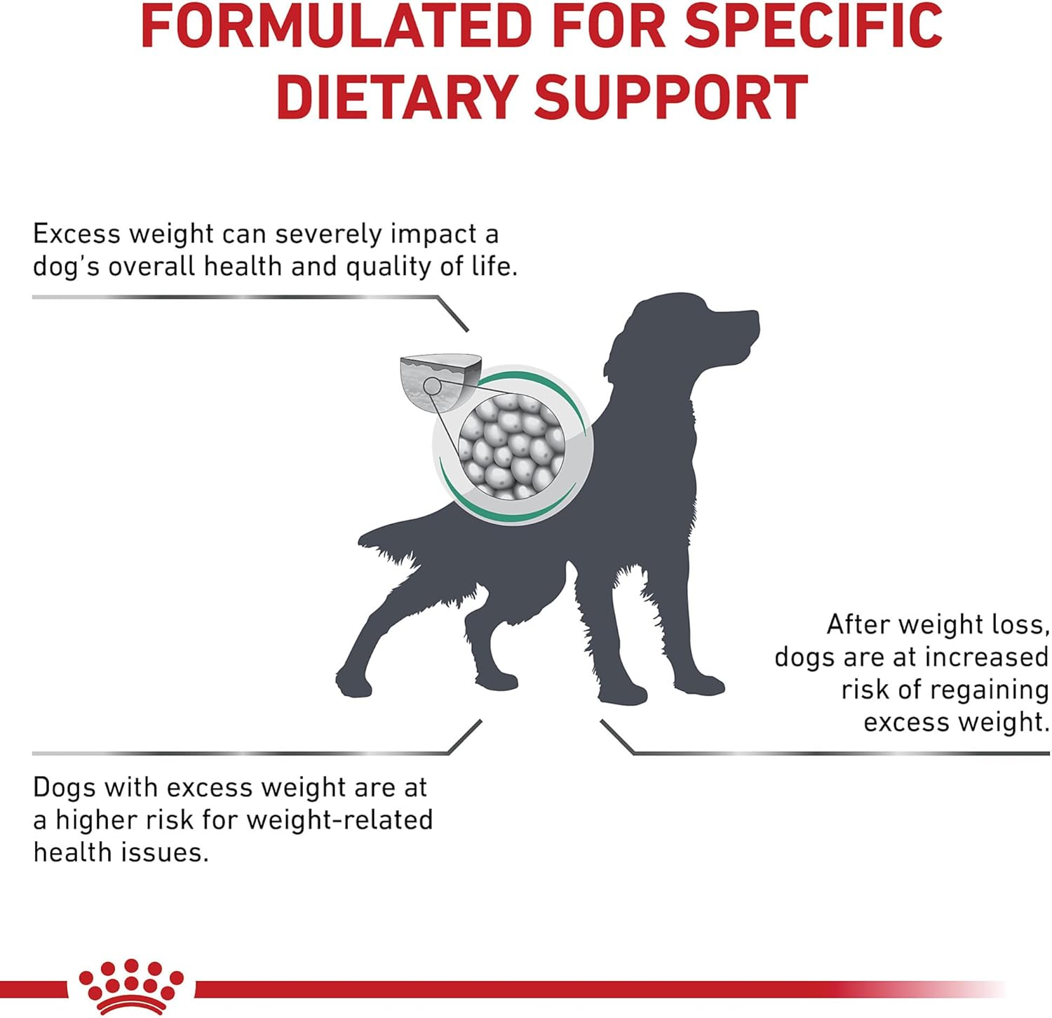 ROYAL CANIN Canine Satiety Support Dry (26.4 lb)