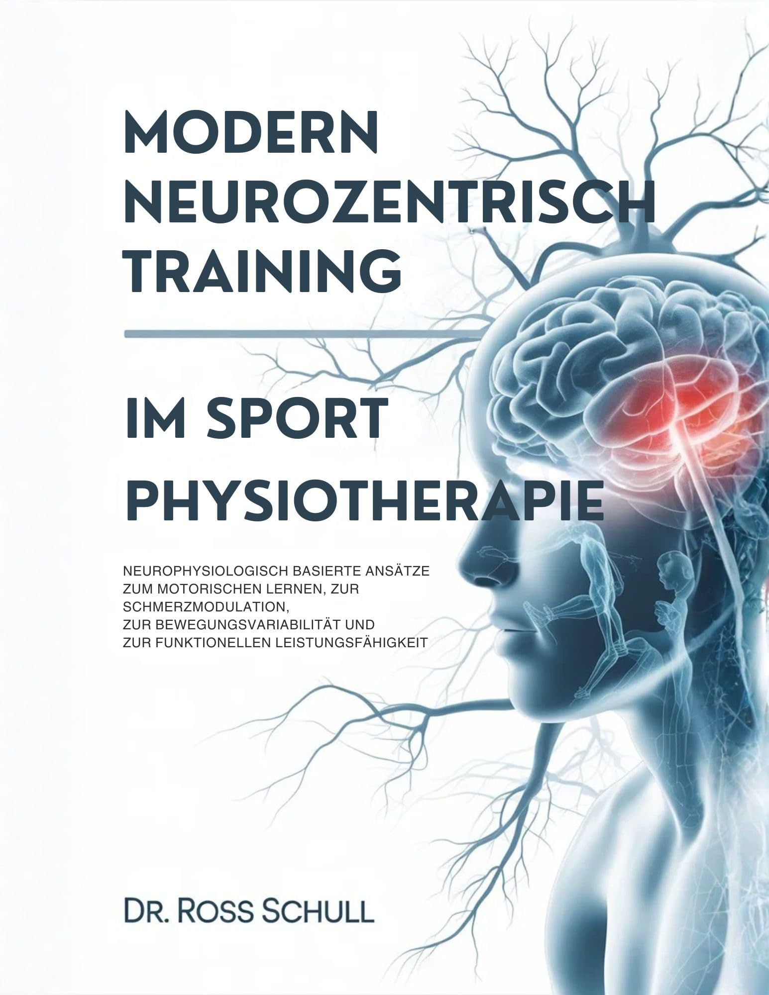 Modernes neurozentrisches Training in der Sportphysiotherapie