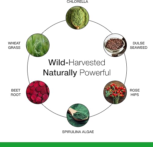 Miniatura 5 de Dr. Schulze's SuperFood Plus - Suplemento diario de superalimentos para apoyar el bienestar general - Nutrición limpia y de calidad - Apoya el