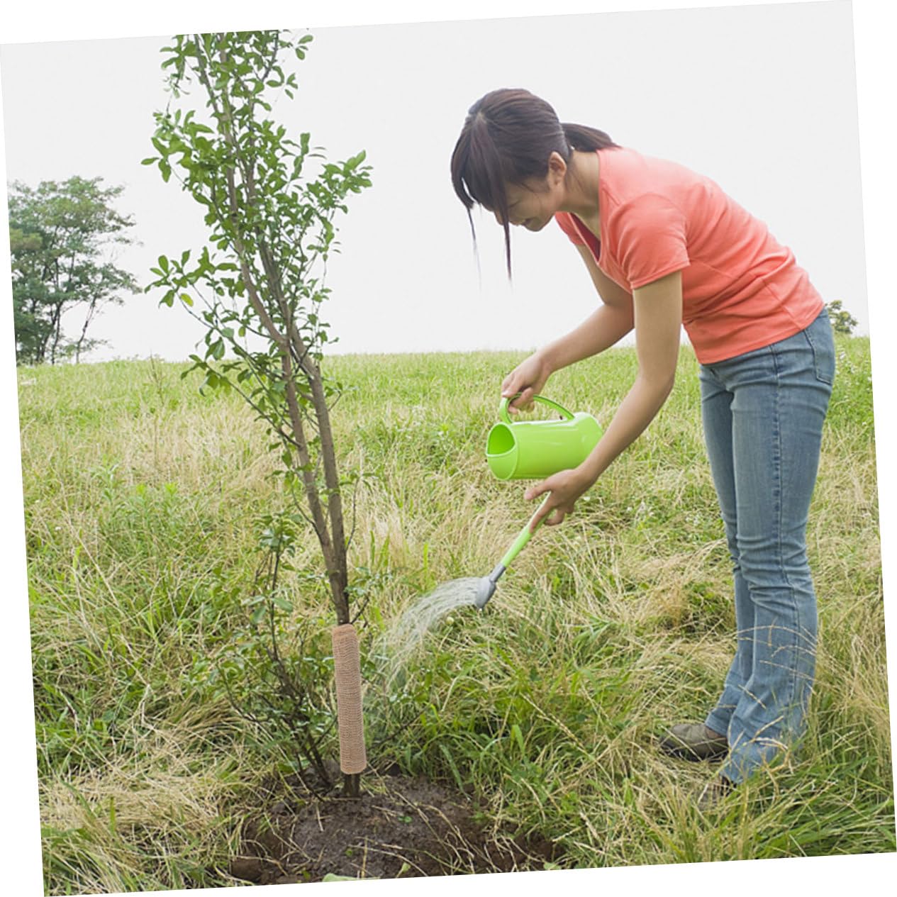 Protezione per Alberi in Lino 3 Pezzi Copertura Invernale