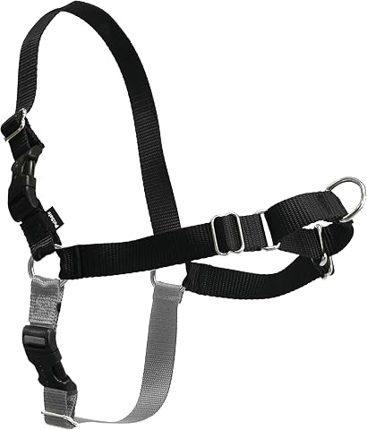 PetSafe Easy Walk köpek koşum takımı