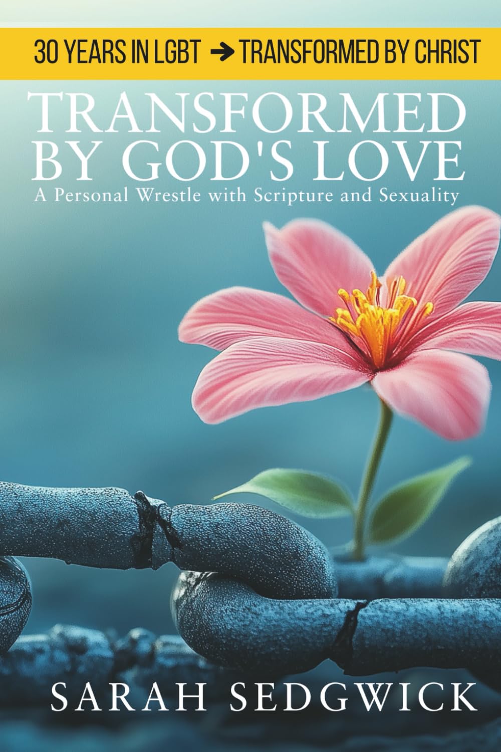 TRANSFORMED BY GOD'S LOVE: Exploring Issues of Sexuality in the Christian Faith - A Personal Testimony