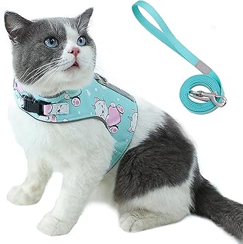Amazon 猫 猫用 ハーネス 胴輪 首輪 犬猫兼用 小型犬 ウサギ ソフト胸あて リード付き 抜けない 夜反射 メッシュハーネス 迷子防止ラベル付き 電話番号記入 通気性 超軽量 マジックテープ式装着 反射ストライプ付き 可愛い お散歩用 ポリエステル素材 L グリーン