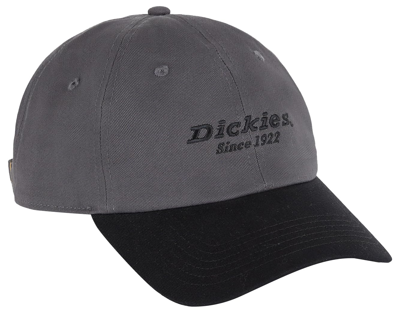 Dickies, Unisex, Twill DAD HAT, Graphite, OS