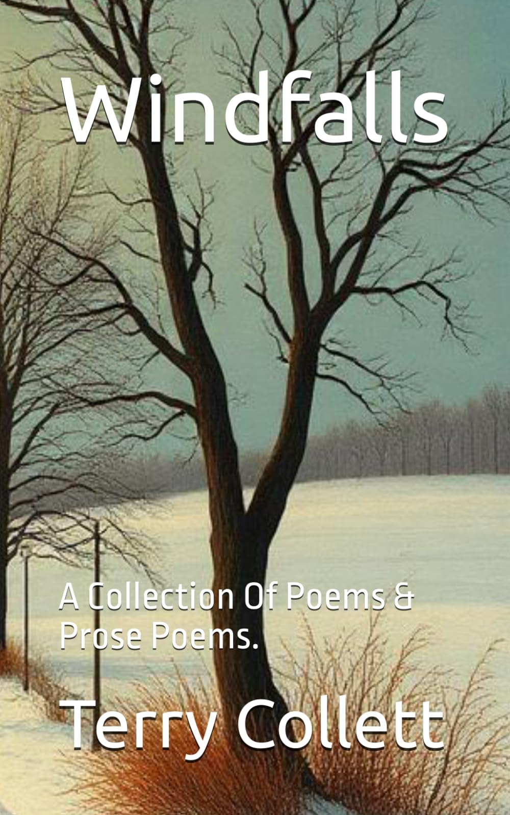 Windfalls: A Collection Of Poems & Prose Poems.