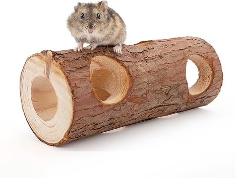 hamster toys amazon