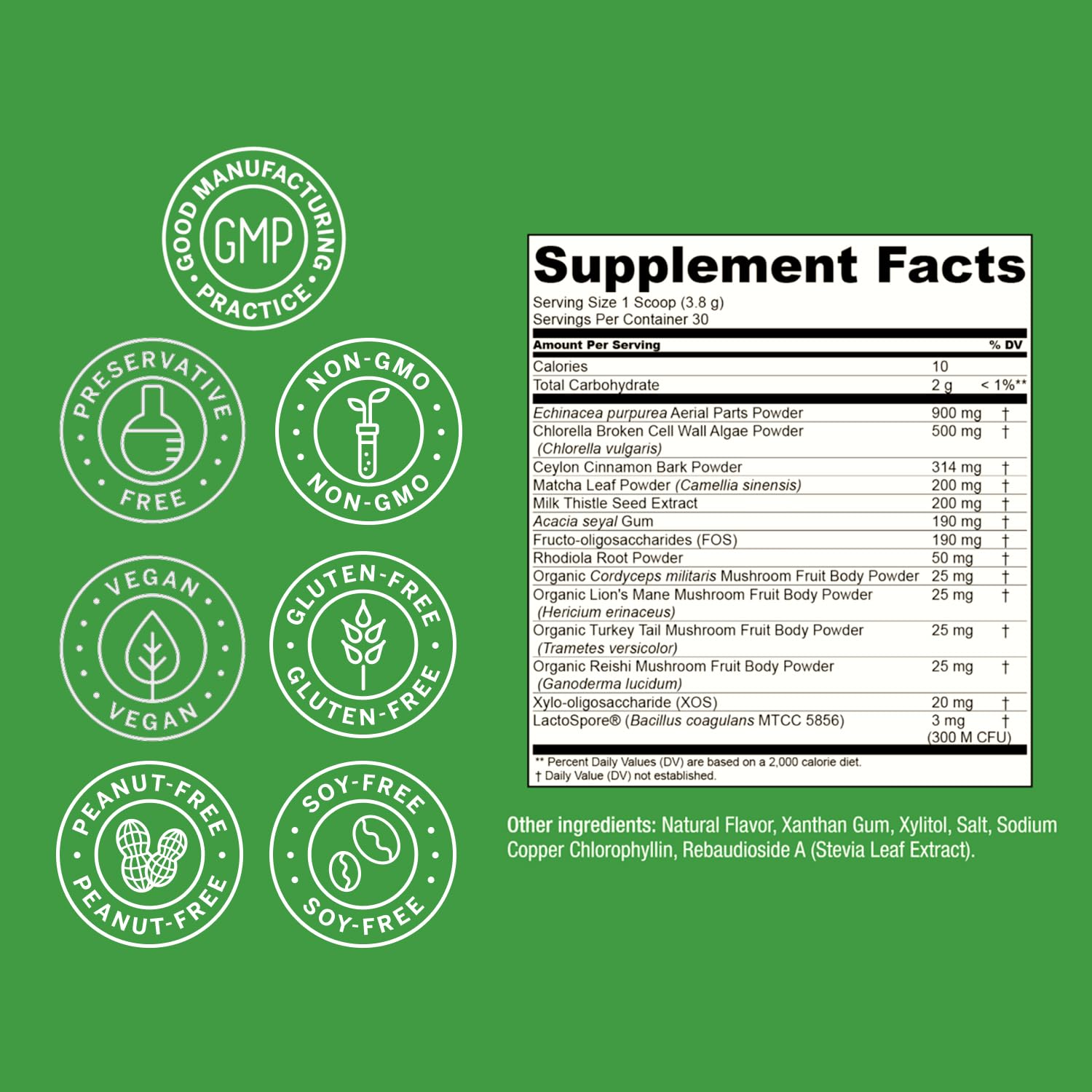 Live Conscious Beyond Greens Superfood Powder - Delicious Debloating Super Greens Powder - Matcha Greens Blend w/Chlorella, Echinacea, Probiotics for Immune Support & Energy — Amazon image 8