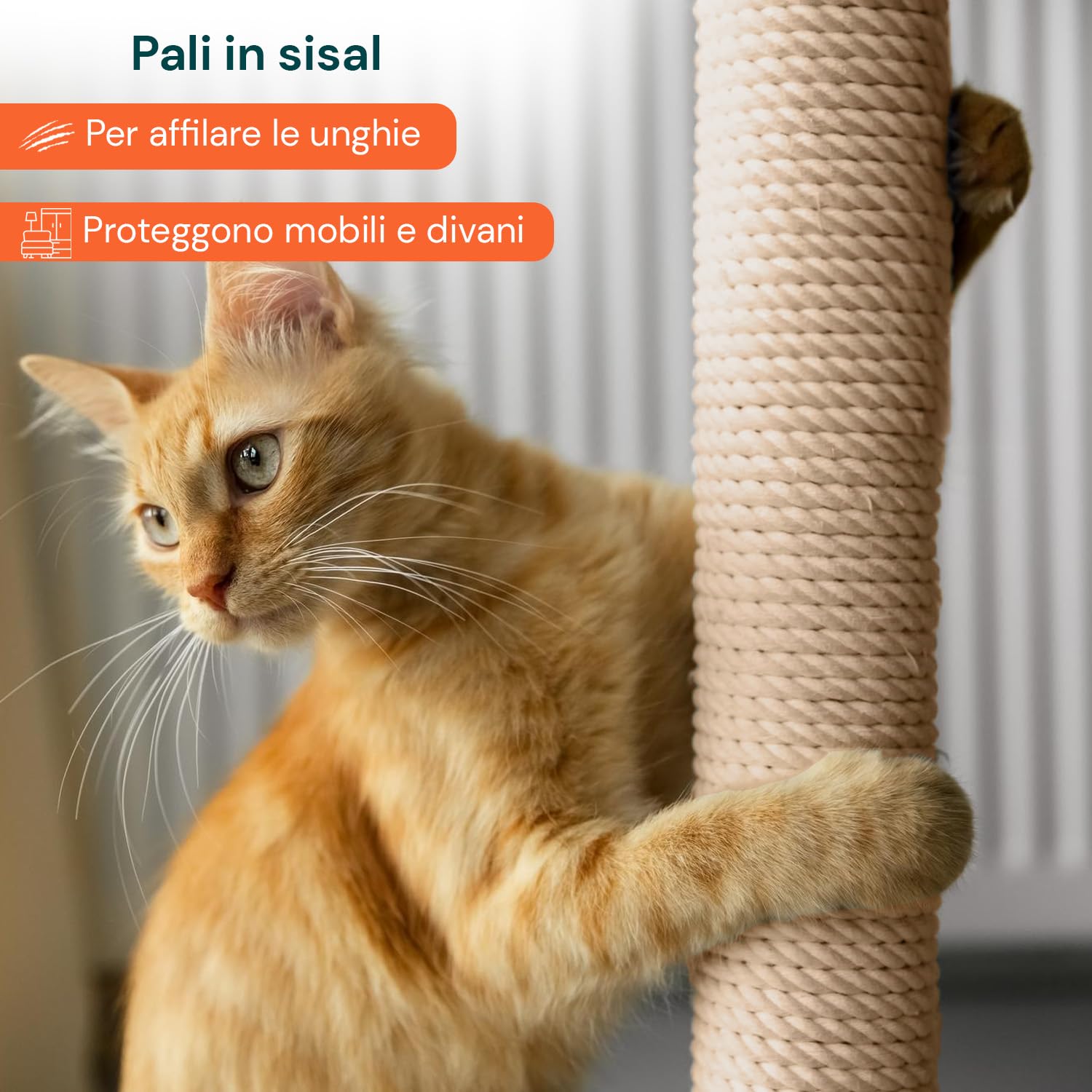 Avilia - Tiragraffi per Gatti 120 Cm Multilivello con Cuccia Chiusa e Amaca Laterale, Struttura con Colonne in Sisal e Giochi Pendente, Ideale per Uso Quotidiano in Casa (Beige)