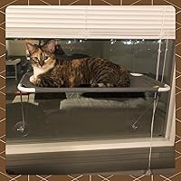 Vista 7 de Percha de seguridad para ventana de gato, con soporte inferior de 360 °, para cualquier gato