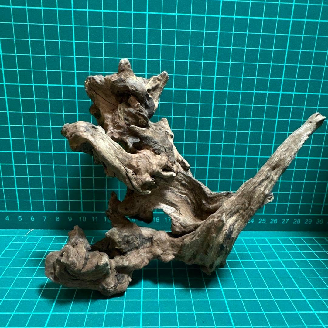 小流木 水槽用流木 アクアリウム k74