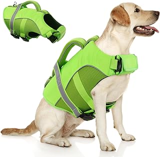 Queenmore Adjustable Ripstop Dog Life Vest for Swimming & Boating, Lifesaver with Superior Buoyancy & Rescue Handle, Green, M