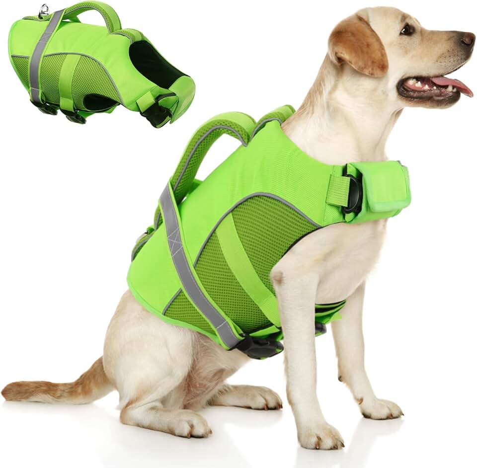 Queenmore Adjustable Ripstop Dog Life Vest for Swimming &amp; Boating, Lifesaver with Superior Buoyancy &amp; Rescue Handle, Green, M Global Recycled Standard