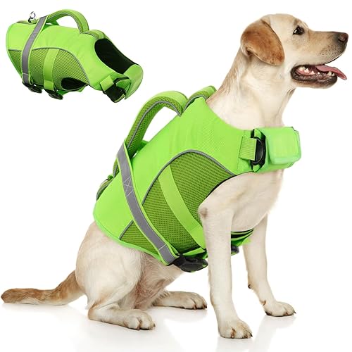 Queenmore Dog Life Jacket, Adjustable Ripstop Dog Life Vest for Swimming Boating, Pet Lifesaver with Superior Buoyancy and Rescue Handle, Doggy Swimming Vest for X-Small Dogs（Green,XS）