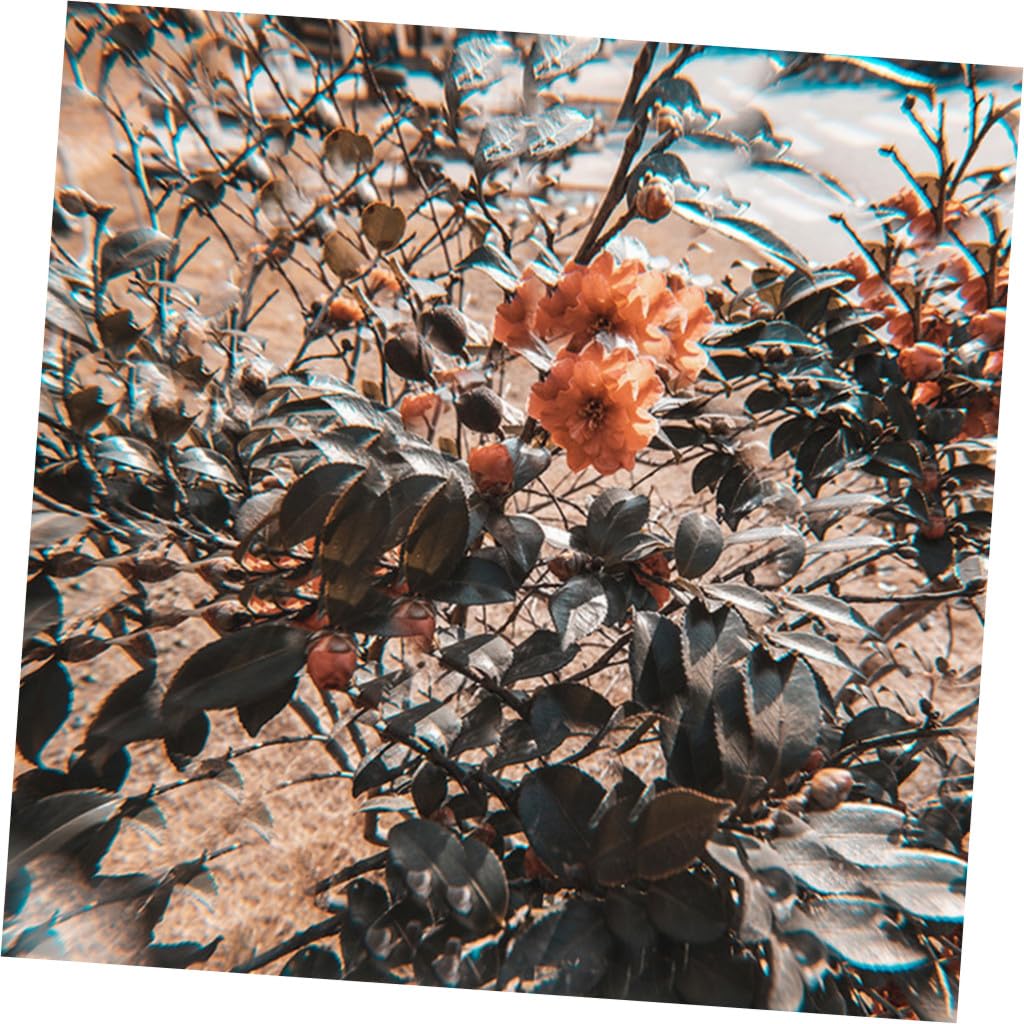 Homoyoyo Prisma Caleidoscopico 77mm in Vetro per Fotografia, Effetto Rifrazione Nitida, per Scene Notturne e Paesaggi