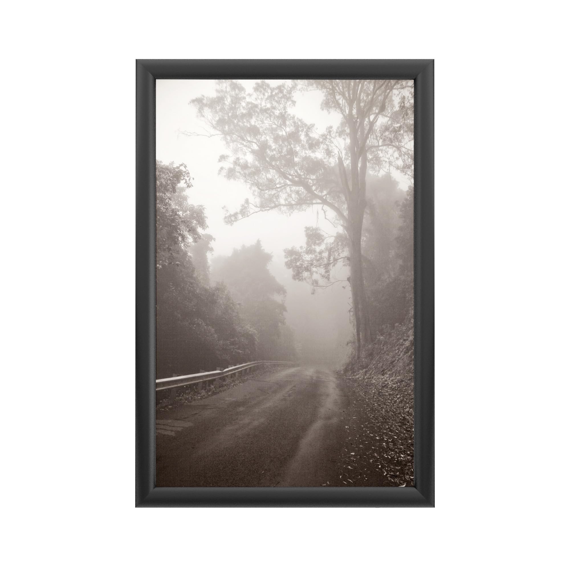 Trademark Fine Art Beata Czyzowska Foggy Journey - Backlit LED Lightbox with Metal Frame - Ready to Hang
