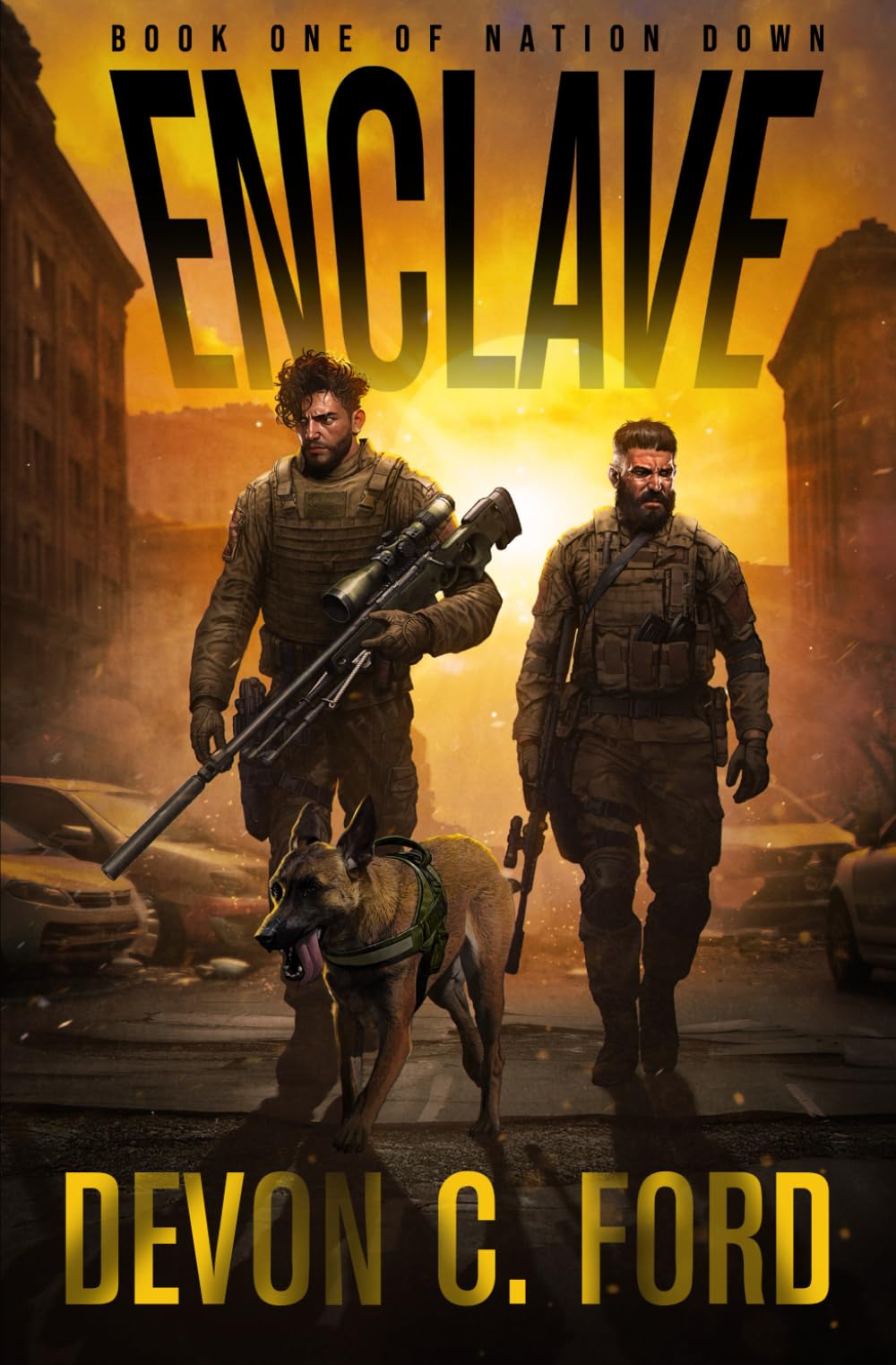Enclave: A Post-Apocalyptic Survival Thriller: 1 (Nation Down)