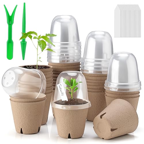 Baxrou 36 Set 3.15 Inch Peat Pots Plant Starters for Seedling with Humidity Dome,Herb Seed Starter Pots Kits, Garden Germination Nursery Pot wit 36 Plant Labels, 2 Transplant Tools.