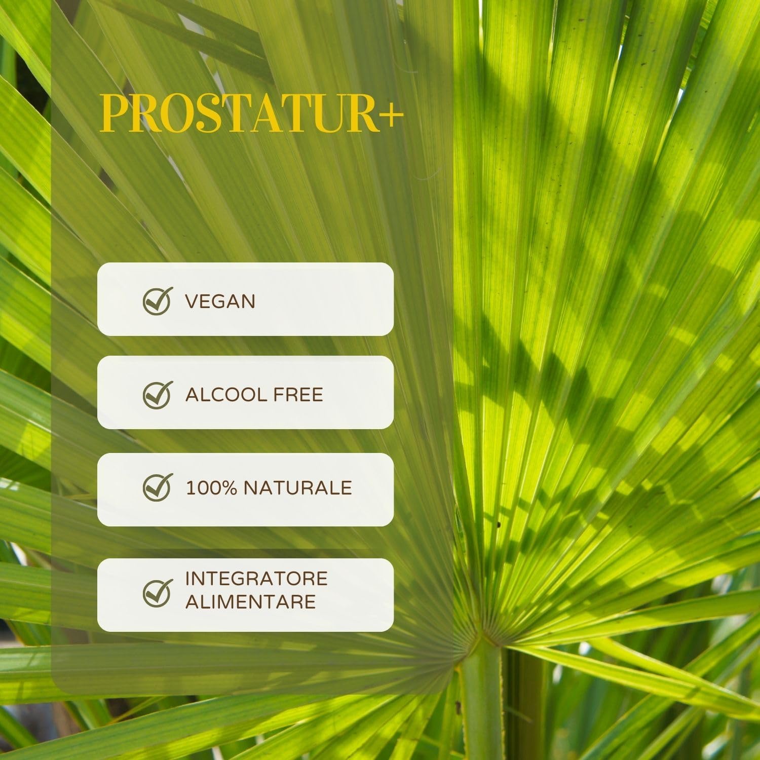 PROSTATUR+ | Integratore Prostata | Antinfiammatorio Prostata con Serenoa Repens, Pygeum Africanum, Epilobio, Ortica, Aloe + Zinco e VitaminaD | Integratore Naturale alle 10 Erbe | 500 ml