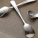 WARMBUY Small Stainless Steel Ice Cream Spoon Coffee Spoons Dessert Spoons, Set of 10