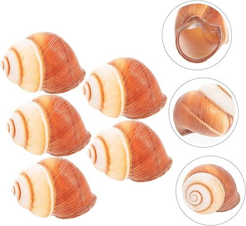 Miniatura 8 de 5 unidades de caracoles naturales para hornear conchas de aislamiento térmico para restaurantes y cocina casera decorativa