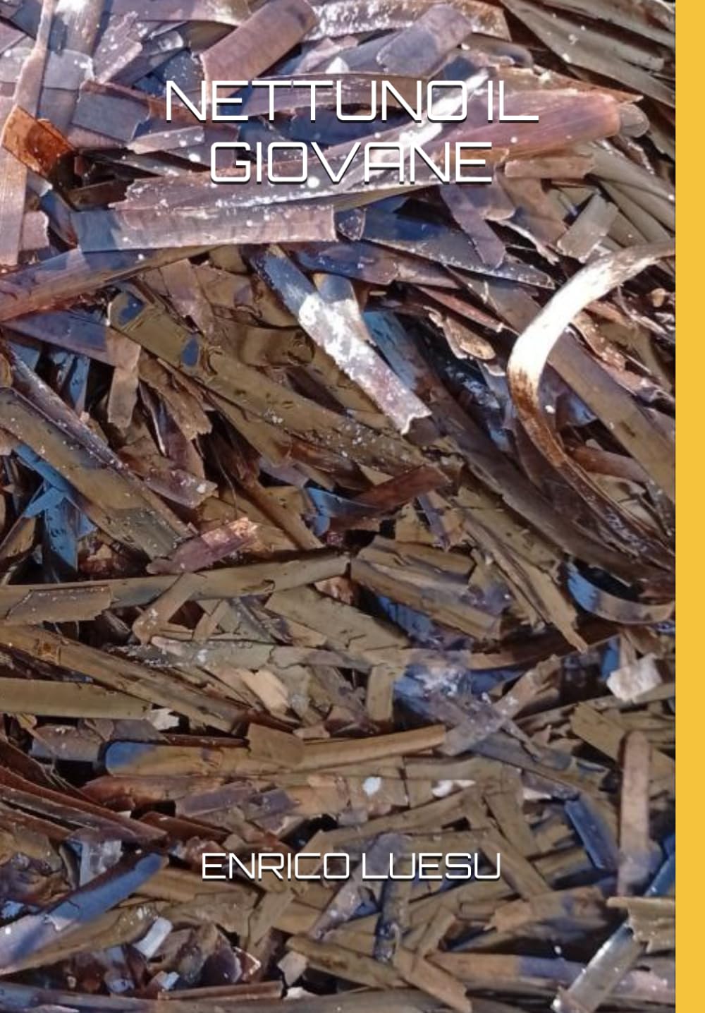 NETTUNO IL GIOVANE