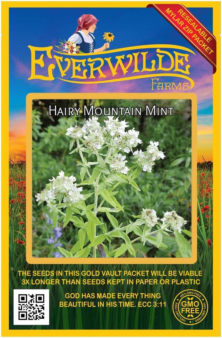 Everwilde Farms - 1 Oz Hairy Mountain Mint Native Wildflower Seeds - Gold Vault