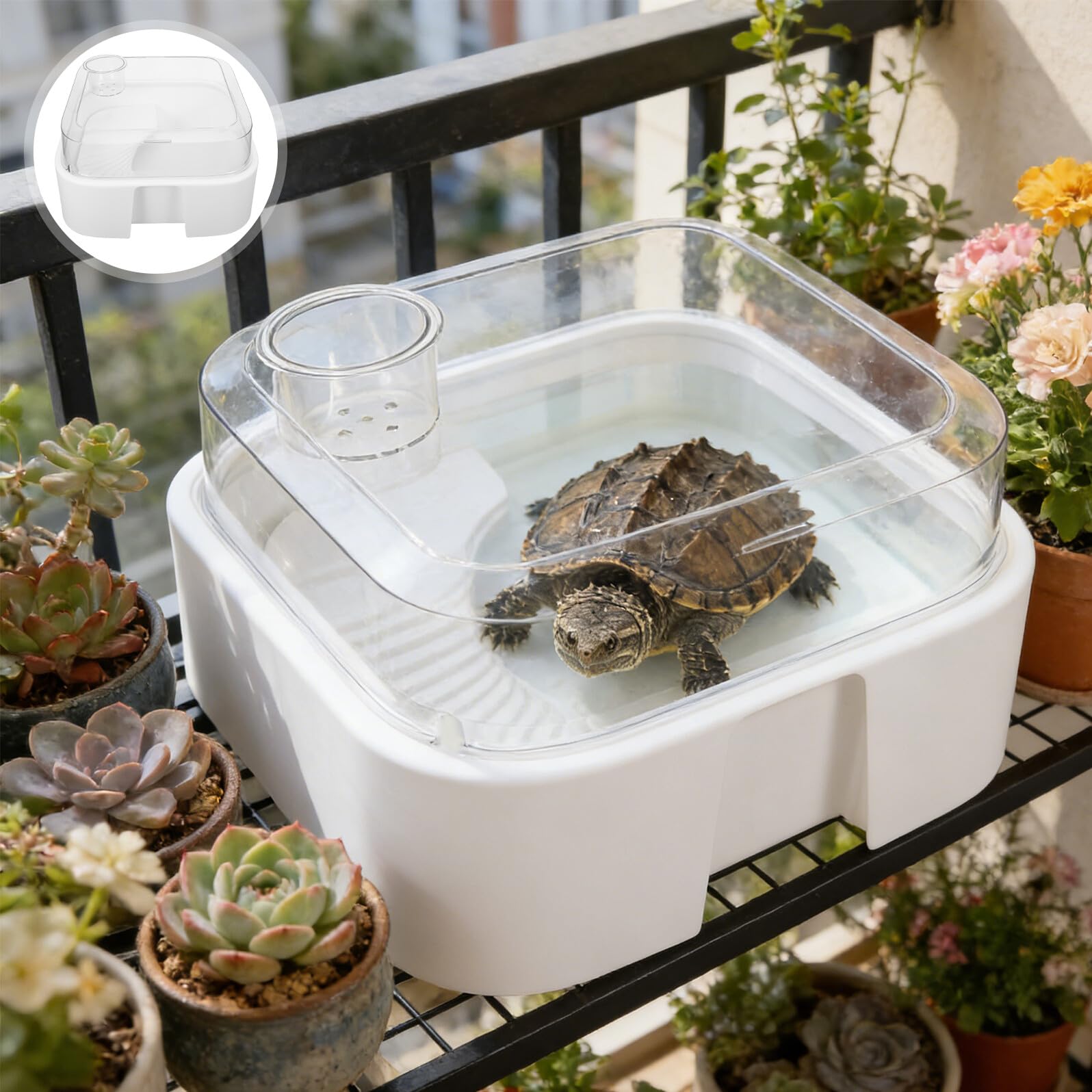 Levemolo Aquarium pour Tortues Aquatiques avec Couvercle Anti-évasion, Petit Habitat en Plastique Transparent, Plateforme de Repos Intégrée pour Reptiles, pour Tortues d'eau et Amphibiens,