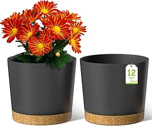 ZMTECH Plant Pots, 12'' Self Watering Plastic Planter with Drainage Hole and Saucer, Modern Decorative Flower Pot for Indoor Outdoor House Plants, Succulents, Flowers - Dark Gray, 2 Pack