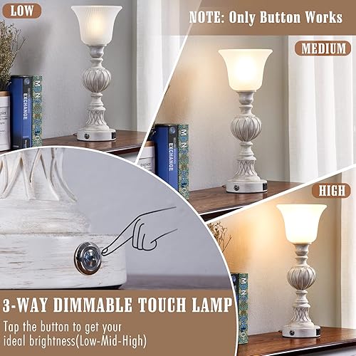 Miniatura 5 de Luvkczc Lámparas de mesa para dormitorio, lámpara de mesita de noche táctil con pantalla de vidrio para dormitorio, sala de estar, oficina de