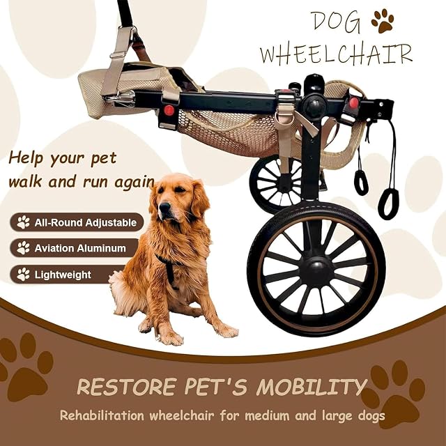 Foto 2 de 6 de SJMDMZD Silla de Ruedas para Perros Grandes con Patas Traseras