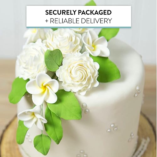 Miniatura 7 de Global Sugar Art Spray verde claro de 5 hojas para pastel de azúcar, 4 unidades por Chef Alan Tetreault