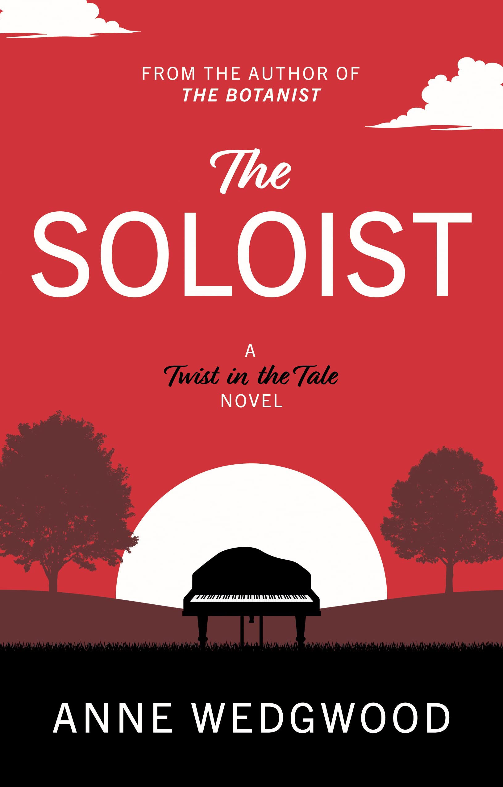 The Soloist by Anne Wedgwood (Paperback Book)