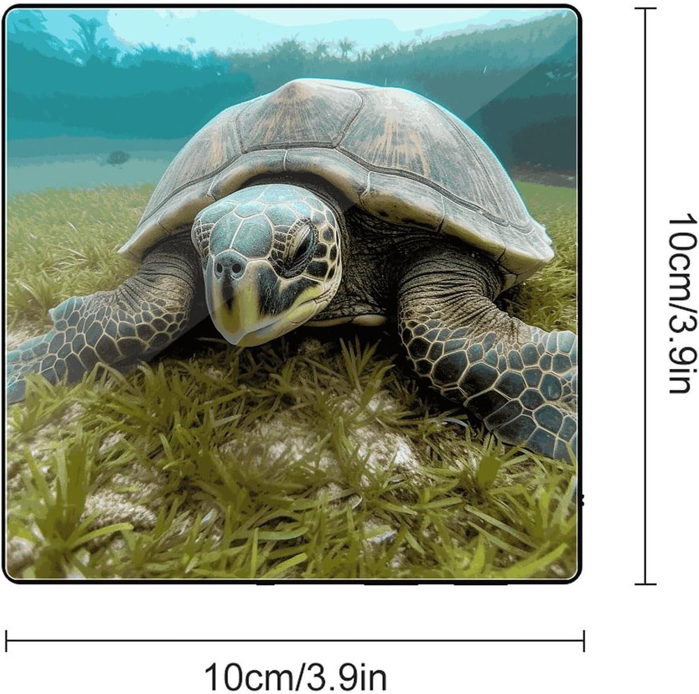 Big Tortoise Music Refrigerator Sticker image 2
