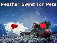 Vista 5 de Vehomy Traje de 2 piezas para el día de San Valentín, alas de ángel con corazón de amor, disfraz de corazón de amor para mascotas pequeñas, chaleco