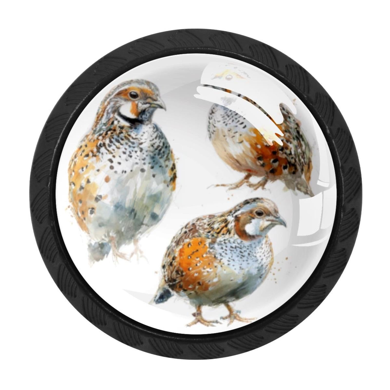 CHENZZZZ 4PCS Watercolor Common Quails (2) Dresser Knob Round Glass Drawer Knobs Pulls Cabinet Handle for Home Kitchen Office Bathroom Wardrobe Cupboard