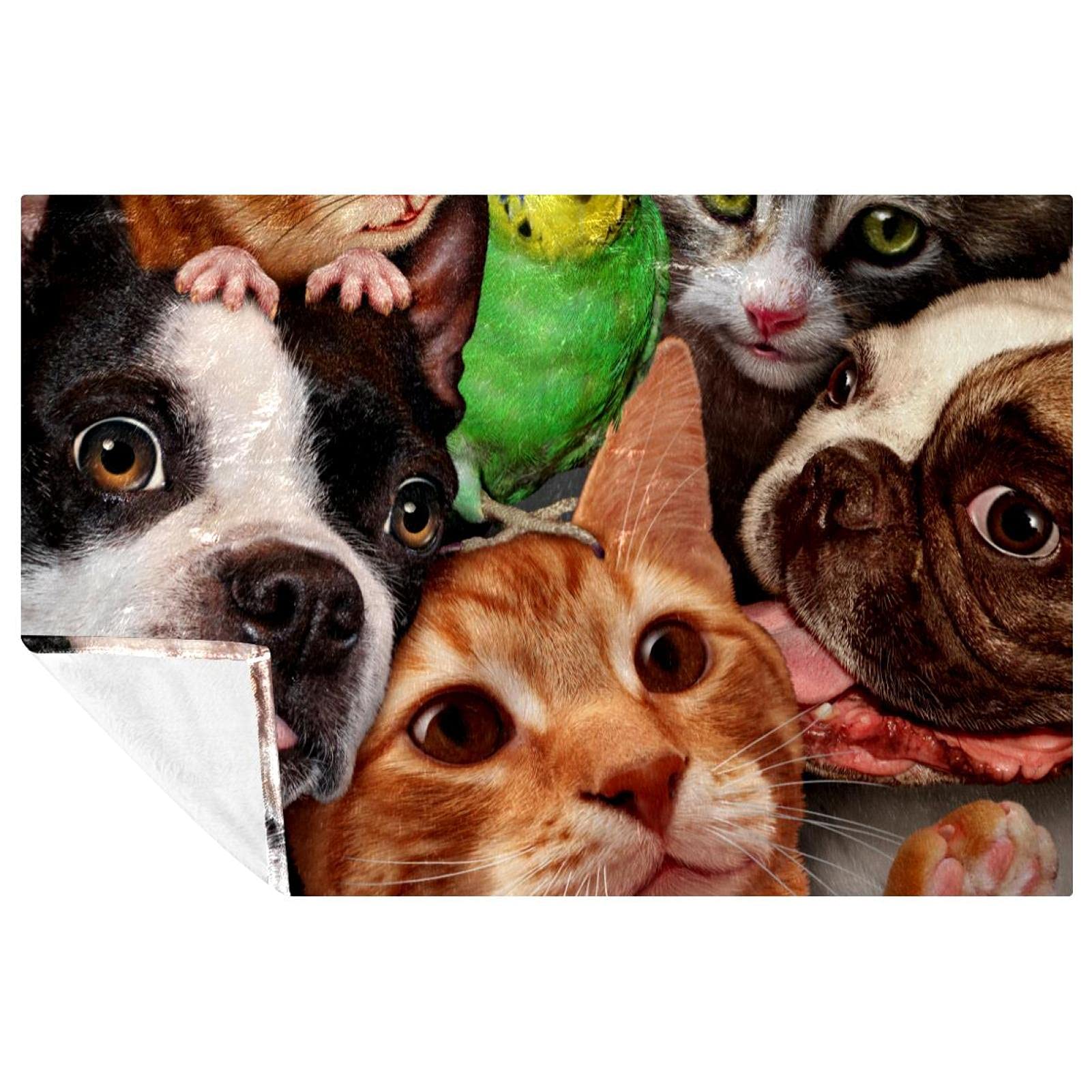 Couverture pour chien de qualité supérieure en plaid chaud 150x100