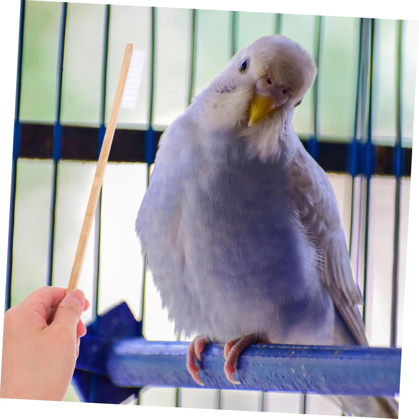 BESPORTBLE 2 Pezzi Spazzola Per La Pulizia Della Gabbia Degli Uccelli Attrezzi Per La Pulizia Della Casa Spazzole Per Mangiatoie Per Uccelli Pulitore Per Gabbie Di Piccoli Animali Forniture