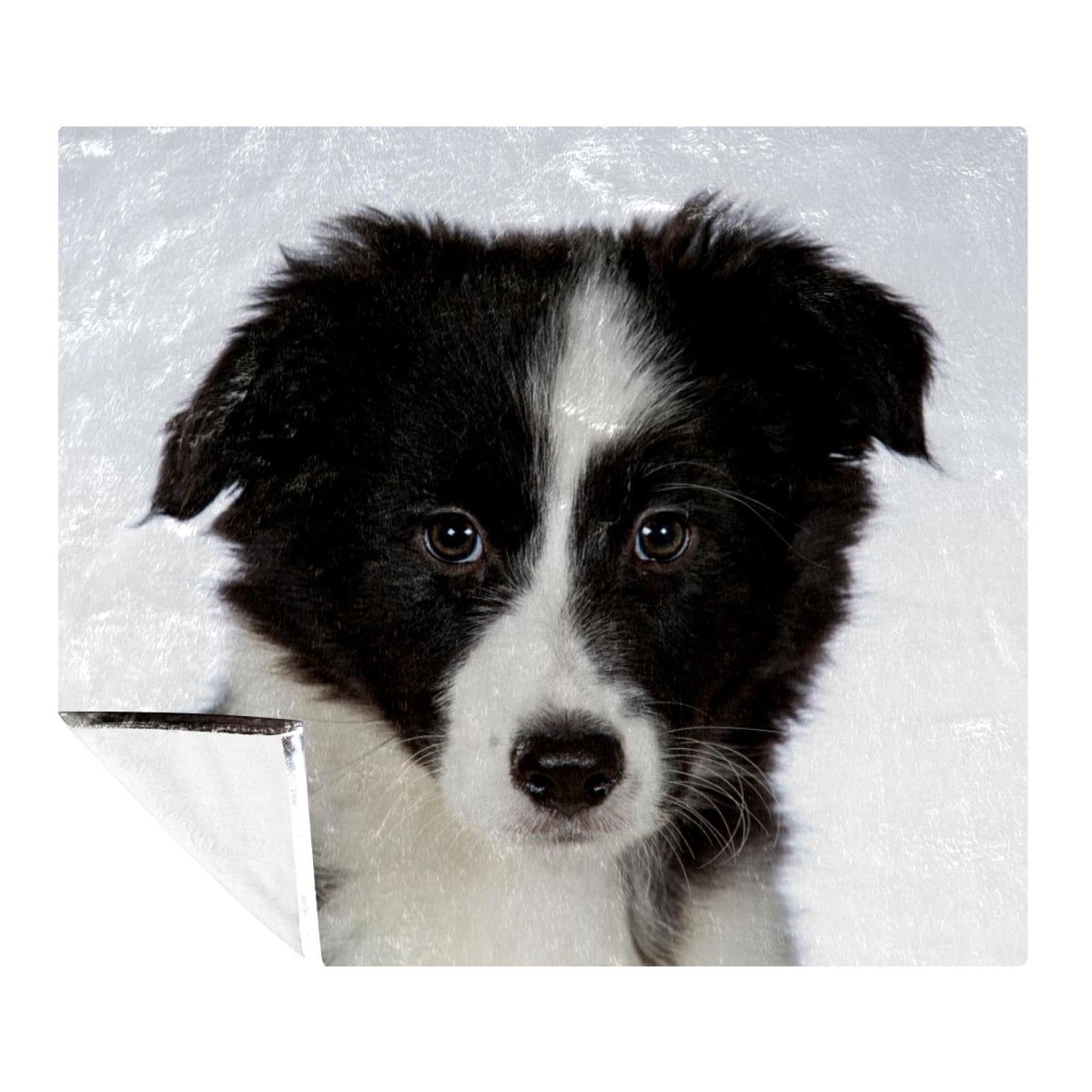 Couverture Border Collie en microfibre polaire 150x130 cm pour lit et canapé