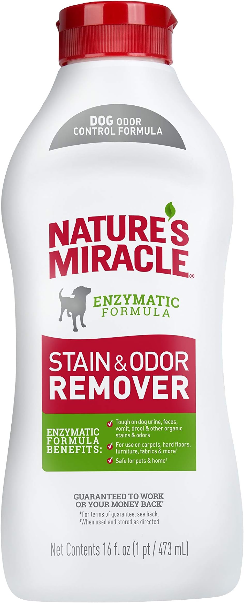 Nature's Miracle Dog Stain and Odor Remover, Everyday Mess