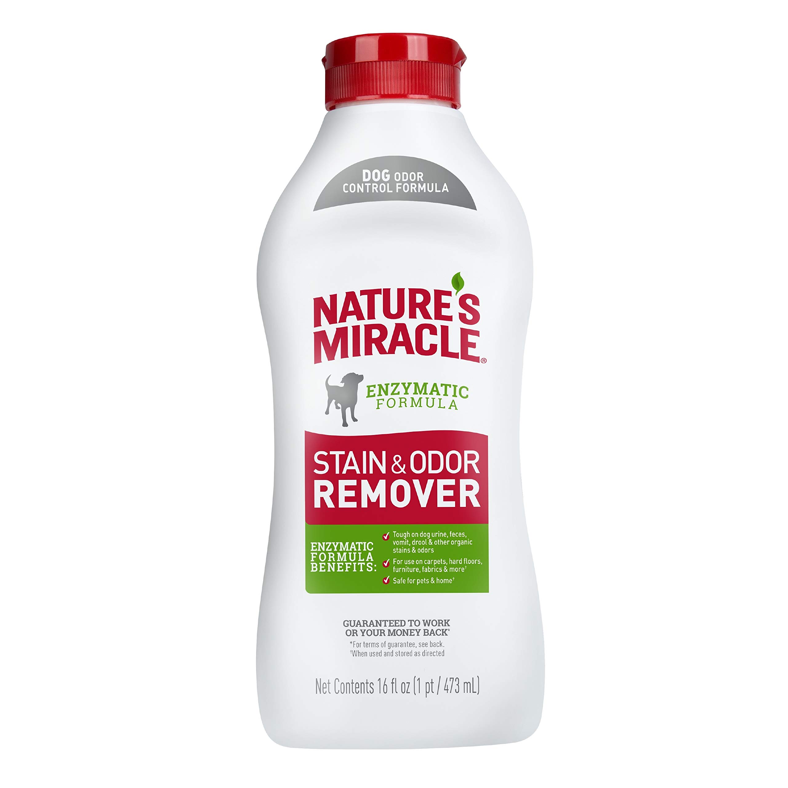 Nature's Miracle Dog Stain and Odor Remover, Everyday Mess Enzymatic Formula, 16 fl oz
