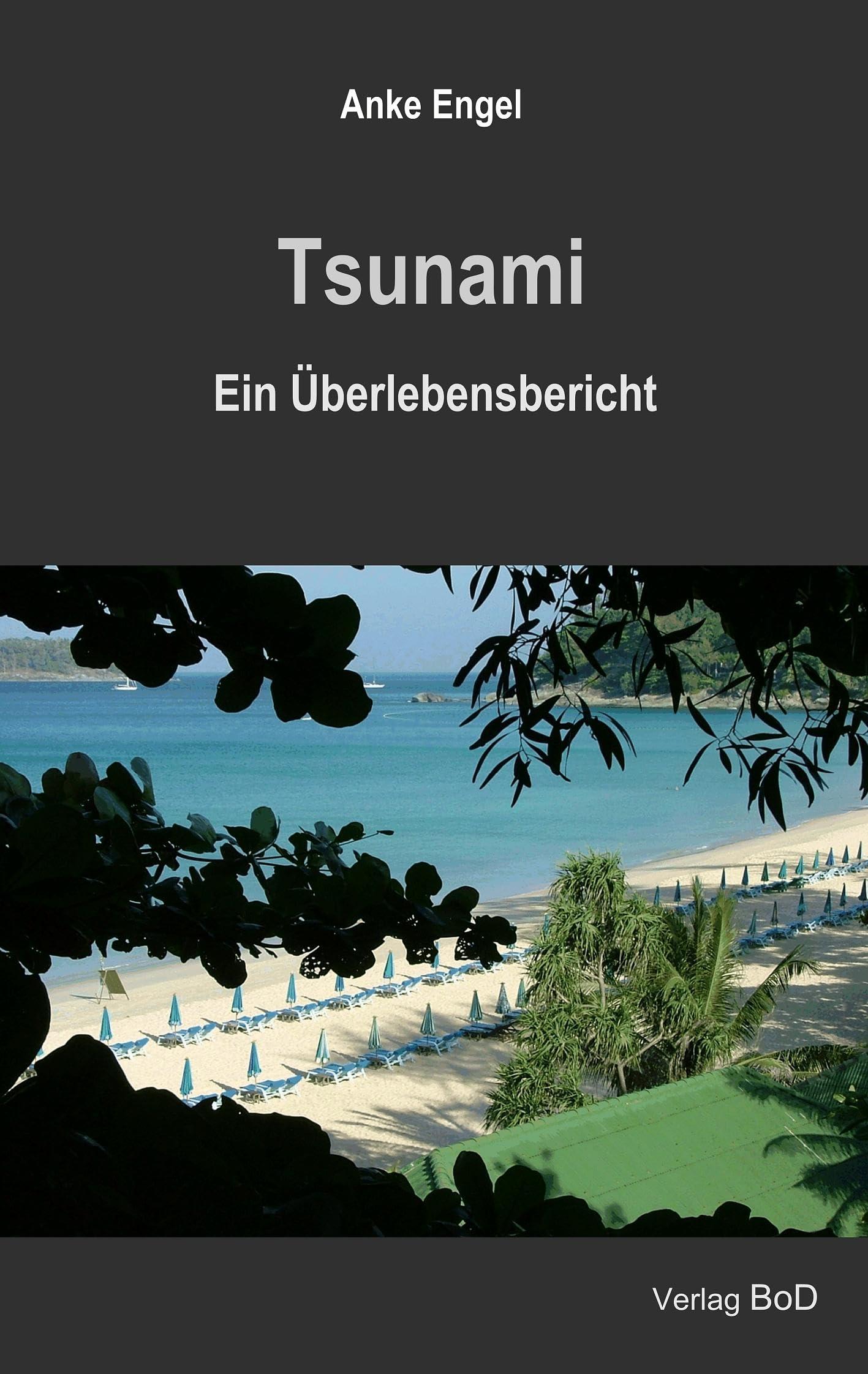 Tsunami + Buch + Überlebensbericht