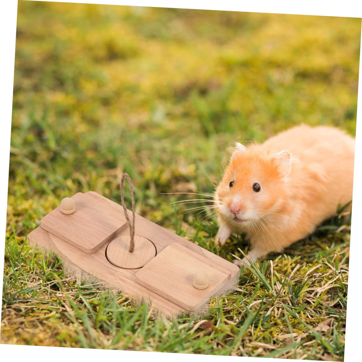Holz Hamsterspielzeug Fördert Spiel und Bewegung, 2 Stück