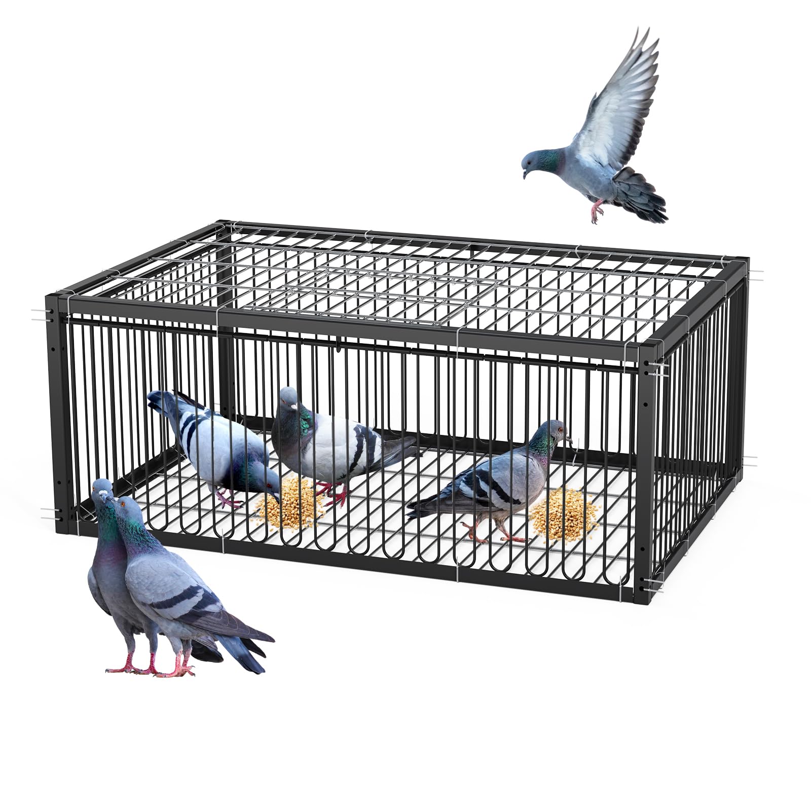 Jaula para palomas con diseño a prueba de fugas, pequeña jaula para palomas y pájaros, entrada plegable desechable, exterior, terraza, jardín, jaula de granja para palomas, gorriones, ratones