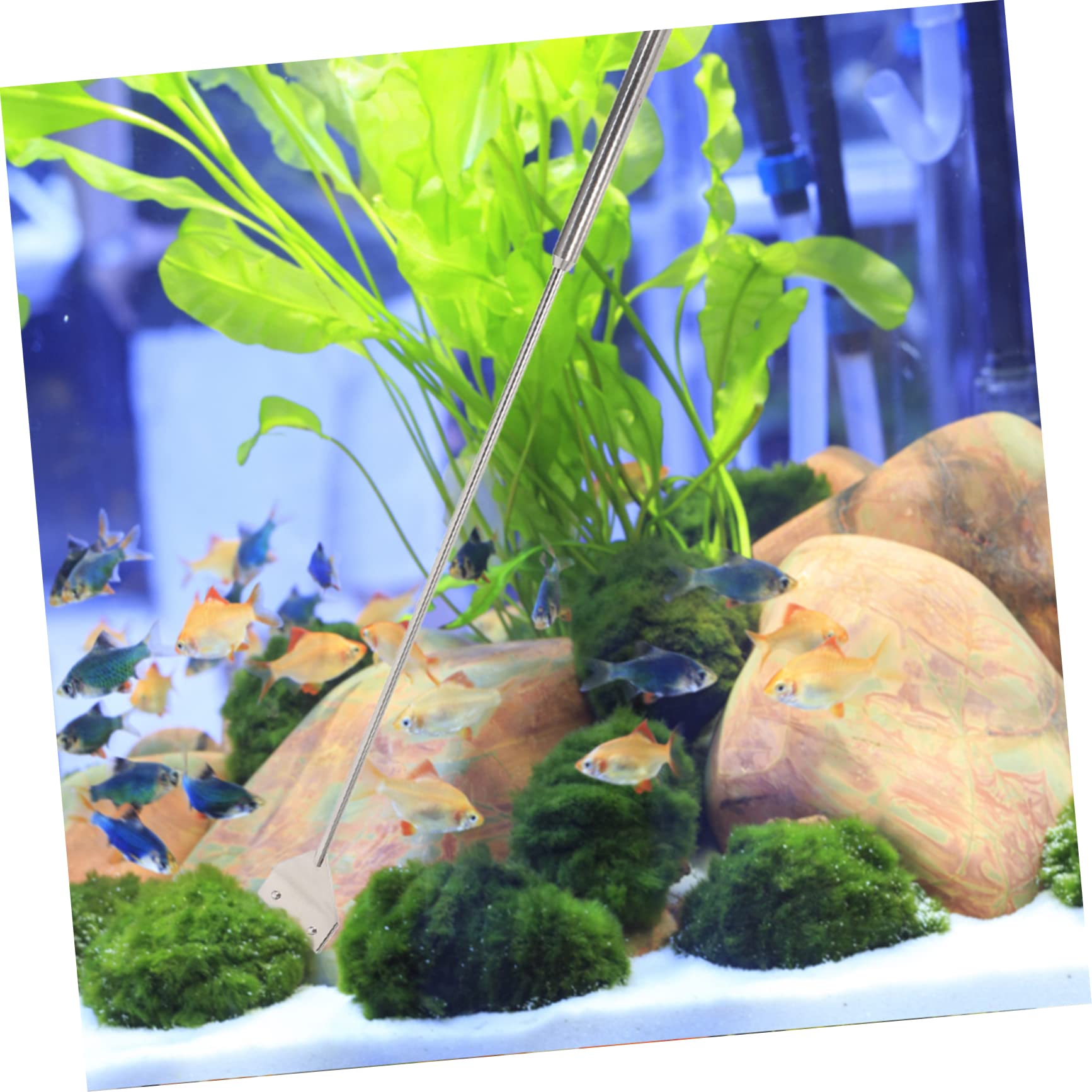 Aquarium Werkzeugset für Wasserpflanzen, 1 Satz Metall, Silber